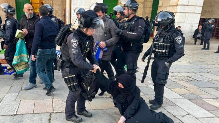 Vazhdojnë sulmet brutale të kolonëve sionistë në Bregun Perëndimor