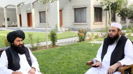 لوړې زده کړې د اوسني عصر اړتیا ده