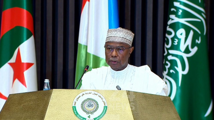 Организация исламского сотрудничества потребовала освободить президента Нигера