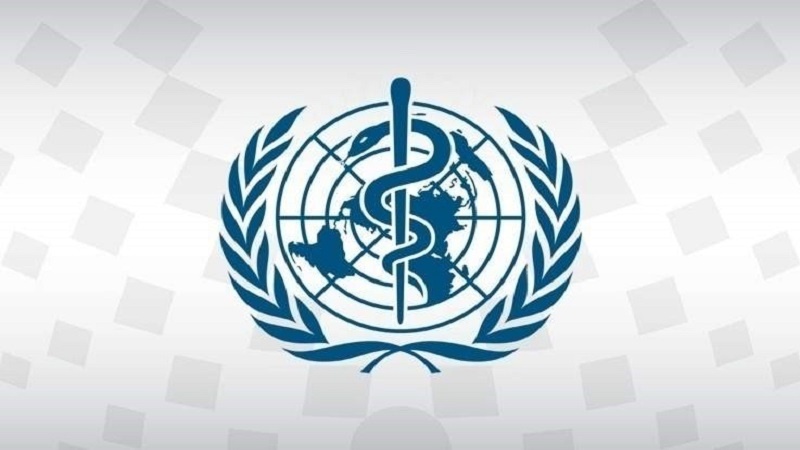هشدار سازمان جهانی بهداشت هشدار در مورد افزایش تب دنگی