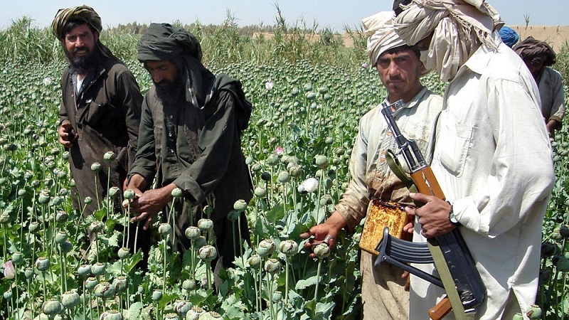 طالبان: نگرانی‌ کشورها از کشت و قاچاق مواد مخدر در افغانستان بیجا است