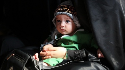 (FOTO DEL GIORNO) Giorno dedicato all'hazrat Ali Asghar (as)