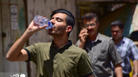  : گرمای «خُرماپزان» آبادان