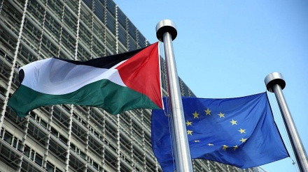 Mbështetja e Parlamentit Evropian për njohjen e shtetit palestinez