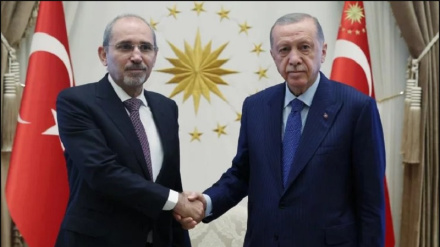 Erdoğan, Ürdün Başbakan Yardımcısı Safadi ile görüştü 