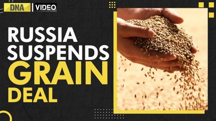 Russia yasitisha ushiriki wake kwenye makubaliano ya nafaka ya Bahari Nyekundu 