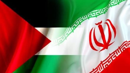Grupi Parlamentar i Miqësisë Iran-Palestinë: Rezistenca është e vetmja rrugë për lirinë e popullit palestinez