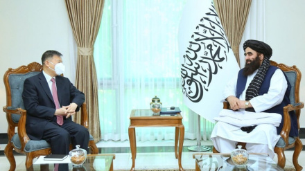 تاکید طالبان و چین بر تقویت روابط دو جانبه 