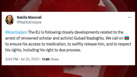 Aİ rəsmisi: Onun lazımi prosedur hüququna hörmət edilməlidir