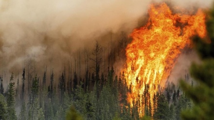 Zjarret në pyje kanë arritur edhe në Zvicër