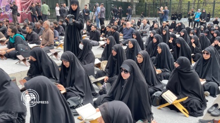 Иранские студенты осудили оскорбление Священного Корана