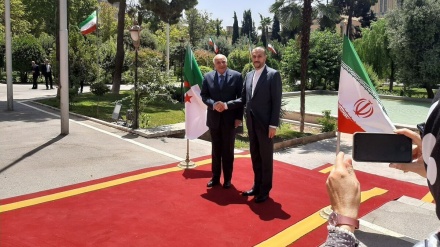 阿米尔·阿卜杜拉希杨在德黑兰欢迎阿尔及利亚外长
