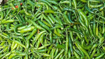 একরাতেই কেজিতে ৫শ টাকা কমলো কাঁচা মরিচের দাম, আসছে ভারতীয় মরিচ
