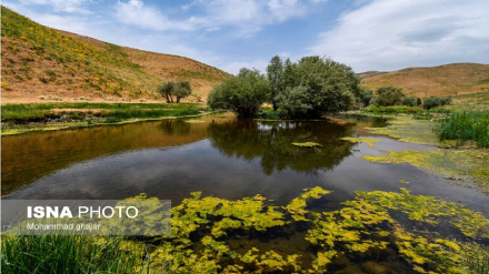 (FOTO DEL GIORNO) Bellezza della natura del Kordestan 