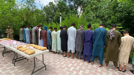 ننګرهارکې لسګونه په جنایي جرمونو کې ککړ کسان نیول شوي دي