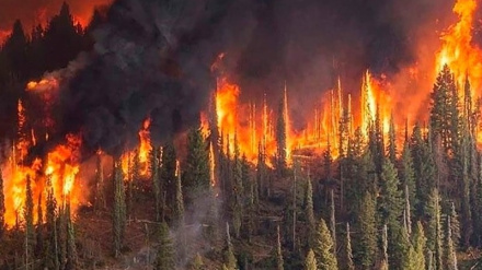 (VIDEO) Russia, incendio in Sverdlovsk, case in fiamme