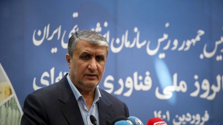 Глава Организации по атомной энергии Ирана: Обвинения в адрес Ирана не соответствуют действительности