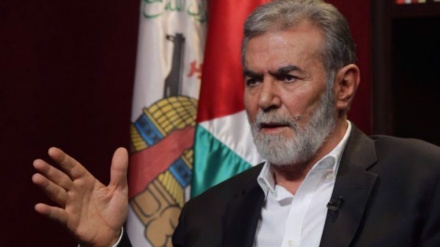 Islamic Jihad arming Palestinian resistance groups in occupied West Bank: Nakhalah