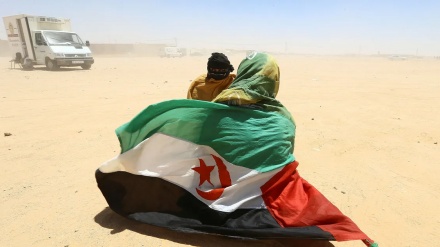 אלג'יריה: מגנים את הכרת ישראל בריבונות מרוקו בסהרה המערבית