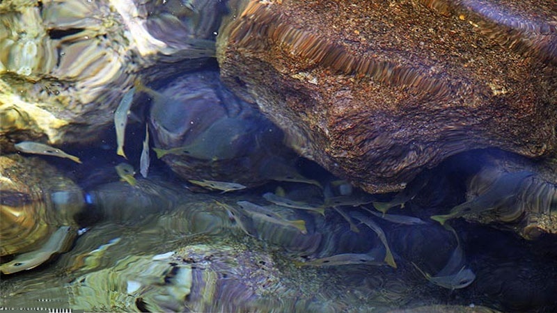 (FOTO) Iran da vedere: l'isola Abu Musa