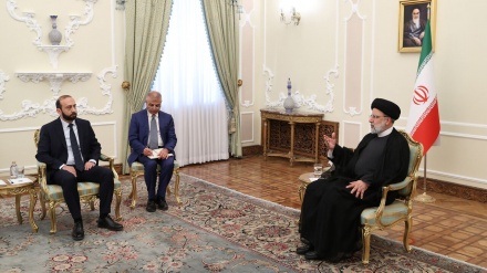 Rəyisi: xarıcion mıdoxilə fəğət məsələon vey mırəkkəb kardedə