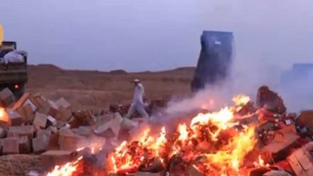 په ننګرهار کې لسګونه ټنه بې کیفیته خوراکي او تاریخ تېره توکي او درمل وسوځول شول