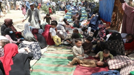 شورای پناهندگان ناروی: طالبان، آوارگان داخلی را از کمپ‌های کابل اخراج می‌کند