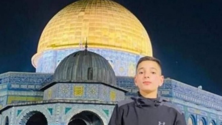 Seorang Remaja Palestina Gugur Syahid di Kota Qalqilya