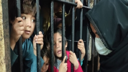 پاکستان دې ژر تر ژره افغان بندیان خوشي کړي