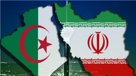 伊朗向阿尔及利亚出口增长109%