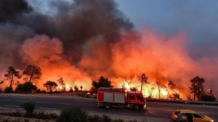 アルジェリアの山火事で34人死亡、チュニジアでも300人避難
