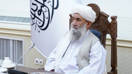  محمد حسن اخوند بیرته واک ته ورستون شوی
