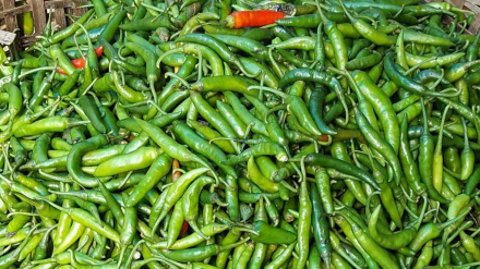 'মনিটরিং বাস্তবায়নের অভাব আর সঠিক পরিকল্পনার ঘাটতিতে বাজার অব্যবস্থাপনা চলছে' 