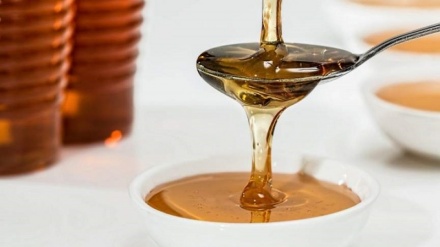 عسل می‌تواند جایگزین آنتی‌بیوتیک‌ها باشد؟