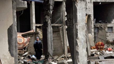 犹太复国主义政权摧毁了巴勒斯坦数百座住宅