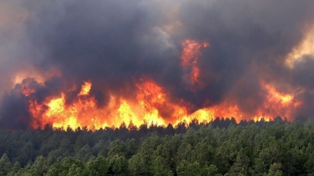 Turchia, incendi boschivi: fiamme raggiungono la città di Belen