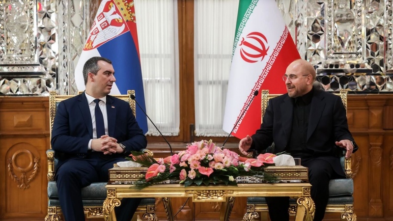 גינוי חילול הקוראן בימי האבל של העשורא