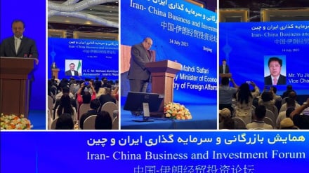 中国企业欢迎伊中贸易投资大会  