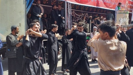 آمادگی‌ مردم هرات برای برگزاری مراسم‌ های تاسوعا و عاشورای حسینی