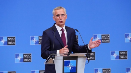 Politico: В НАТО усилился конфликт из-за Украины