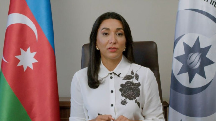 Ադրբեջանի օմբուդսմենը շարունակում է խայտառակել մարդու իրավունքների պաշտպանի կոչումը