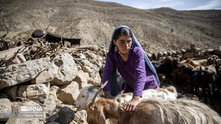  تصاویر: مهرنوش در سرزمین عجایب