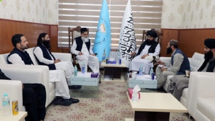 برنامه طالبان برای جذب استادان پاکستانی در دانشگاههای افغانستان 