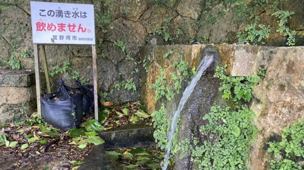 沖縄県調査；米軍基地近くで有害物質、国基準の36倍