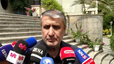 Mohammad Eslami: Kemi një udhërrëfyes të plotë për lokalizimin e termocentraleve bërthamore
