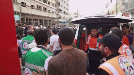 Israeli forces martyred over 200 Palestinians so far in 2023: Report