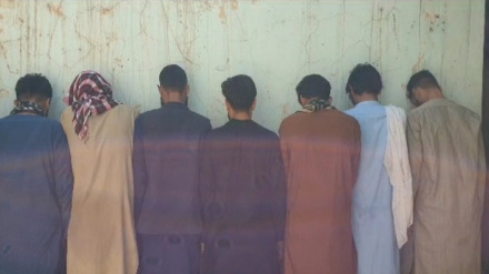 ننګرهار کې پولیسو دولس تنه د بېلابېلو جرمونو په تور نیولي، نور تفصیل زموږ د همکار محمد آصف شینواري په راپور کې واورئ