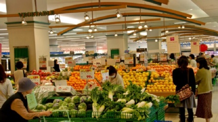 Italia. Istat: aumenta il potere di acquisto delle famiglie