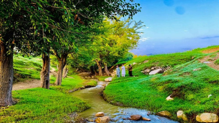 ننګرهار کې زرګونو کسانو د اختر په ورځو کې د دې ولایت له لرې پرتو تاریخي او تفریحي سیمو څخه لیدنه کړې ده، بشپړ راپور دلته واورئ