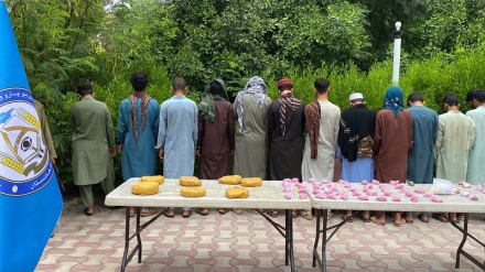 بازداشت ۱۴۶ نفر به اتهام جرایم مختلف در ولایت ننگرهار 